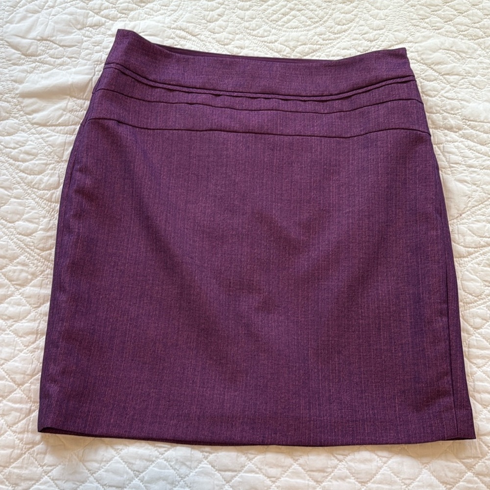 The Limited Skirt